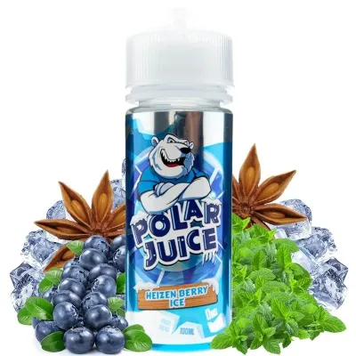 Heizen Berry Ice 100ml - Polar Juice