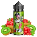 Cranberry Kiwi 100ml - Mad Flavors by Mad Alchemist