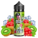 Ice Cranberry Kiwi 100ml - Mad Flavors by Mad Alchemist