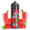Cranberry Sorbet 100ml - Mad Flavors by Mad Alchemist