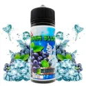 Blueberry 100ml - Brain Slush