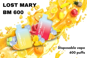 Lost Mary BM600 precio
