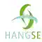 HANGSEN SALT