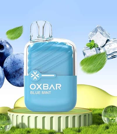 Oxbar Mini Arándanos Menta