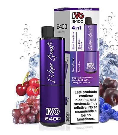 IVG 2400 Purple 4 en 1