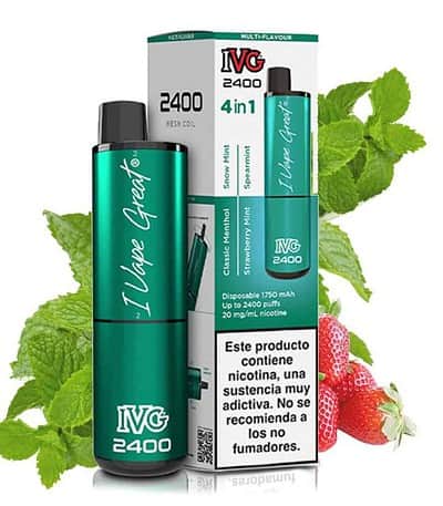 IVG 2400 Mint 4 en 1