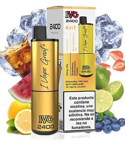 IVG 2400 Summer 4 en 1