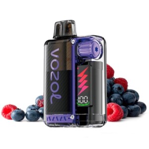 Vozol Vista Plug Blueberry Sour Raspberry Kit