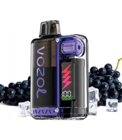 Vozol Vista Plug Grape Ice Kit